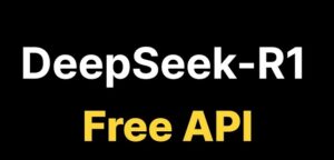 Deepseek API